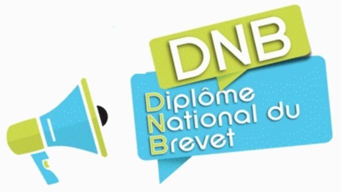 dnb logo.jpg